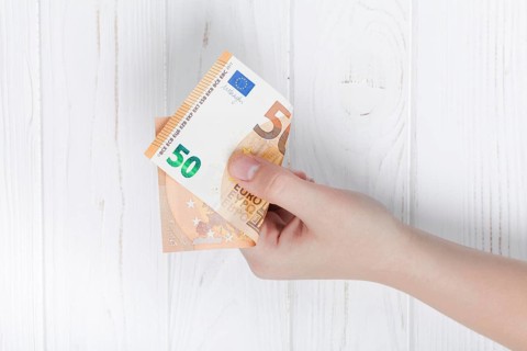 Hand holding euro bank note