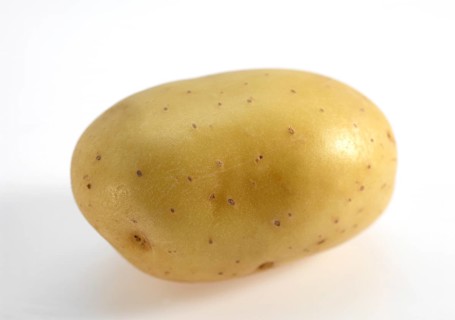 Mona Lisa Potato (Solanum tuberosum), Vegetable against White Background