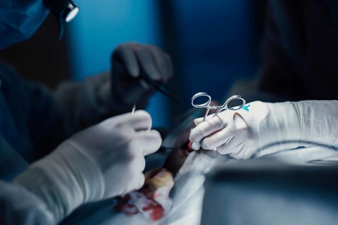 Surgeon operating on patient in operating room close up, surgical operation