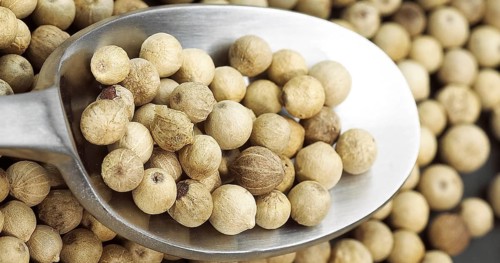 White Peppercorn (piper nigrum), Berries in a Spoon