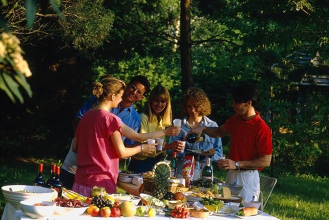Garden party, food and drink, richly laid table, fruit, vegetables, fruits, bread, cheese, wine
