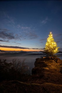 Exhilarating sunrise at the Wachtfelsen. Magical morning mist, clouds and a Christmas tree in the
