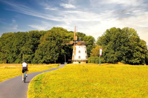 Cycle tour along the Elbe between Desden and Meißen, Saxony, Germany, Europe