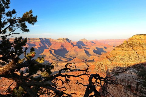 Grand Canyon