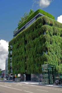 Facade greening, thermal insulation, greening, modern architecture, metropolis, urban,