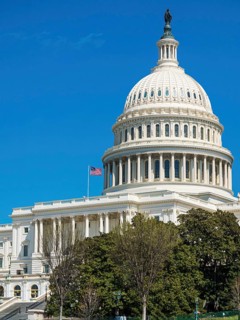 The United States Capitol building with American flag