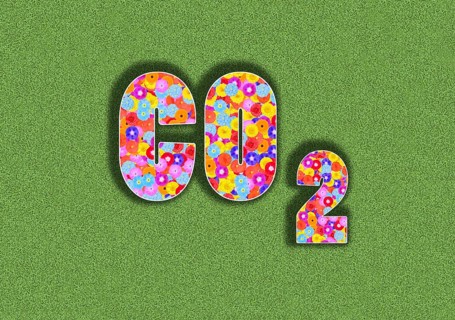 CO 2 carbon dioxide with flower design on green background, lettering, letters, illustration,