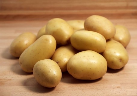 Mona Lisa Potato (Solanum tuberosum)