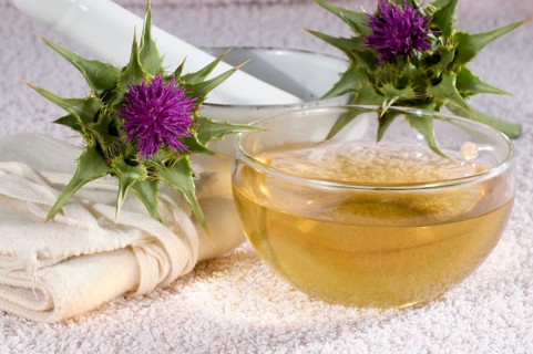Cup of milk thistle tea (Silybum marianum) (Carduus marianus), milk thistle