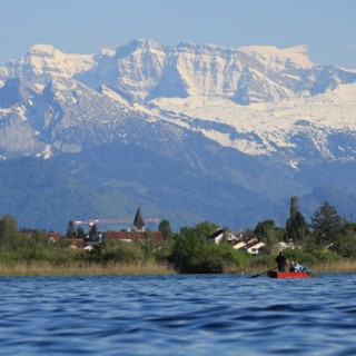 Blue water of Lake Pfaffikon, Pfaeffikon. Reed and church. Snow covered peaks