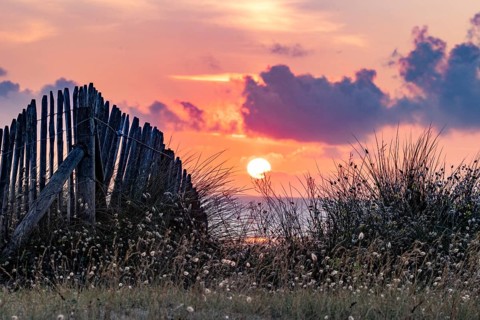 Beach, sea, dune landscape on the English Channel with the regionally typical wooden picket fence