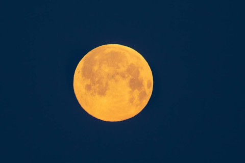 Full moon shining orange in blue morning sky