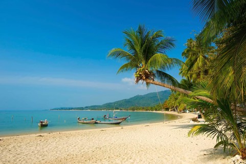 Lamai Beach, Ko Samui Island, Thailand, Southern Thailand, Palm Beach, Palm Trees, Asia