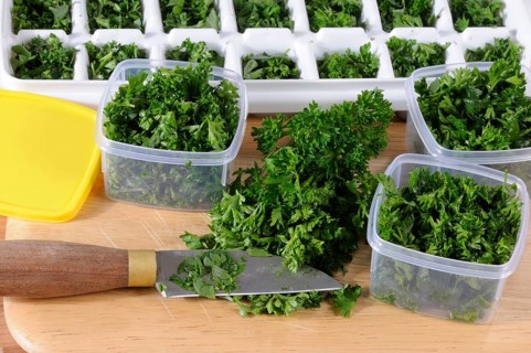 Chopped parsley (Petroselinum crispum), preparation for freezing, knife