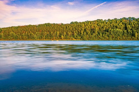 View of the coniferous forest at the Zeulenroda Sea at sunset, Zeulenroda-Triebes, Thuringia,
