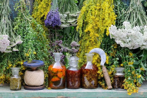 Herbs hung up to dry, St. John's wort, yarrow, mint, lemon balm, bedstraw (Hypericum perforatum)