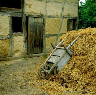 Barrow on the dung heap, farm