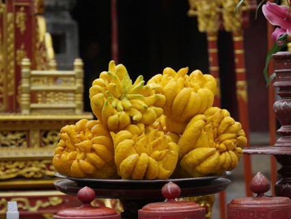 Vietnam, Hoa Lu, Dinh Emperor's Grave, Buddha's Hand sarcodactylis, or the fingered citron (citrus