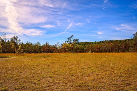 Meadow on the Mönchsberg quarry with blue sky and veil clouds, Jena, Thuringia, Germany, Europe