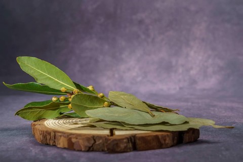 Bay leaves, dry and fresh on a wooden disk