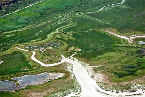 Salt marshes, marshland, between Hitzsand and dyke, St. Peter-Ording, Eiderstedt,