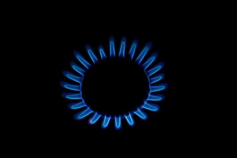 Blue gas flame on a hob, gas cooker, close up
