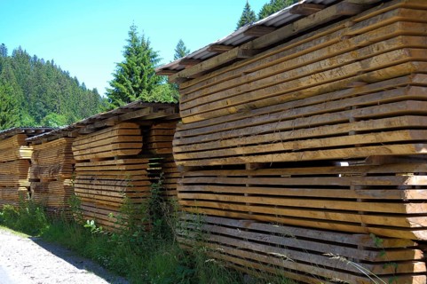 Sawmill near Freudenstadt in the Black Forest, Baden-Württemberg, Germany, Europe