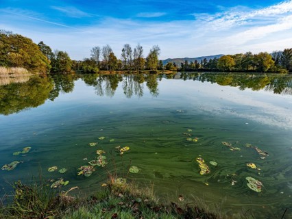 Quarry pond Bruchteiche, Bad Sooden-Allendorf, Hesse, Germany, Europe