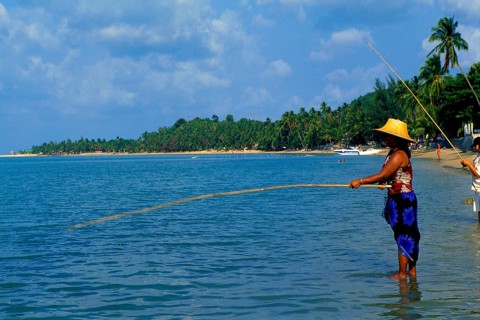 Fishing on Mae Nam beach, Ko Samui, Thailand, Asia