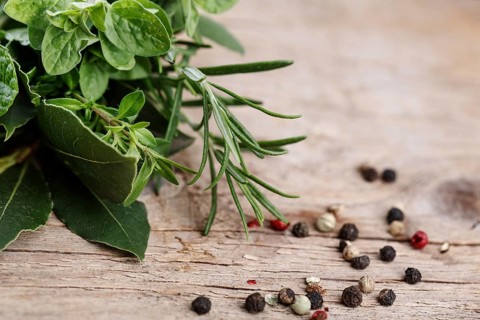Fresh kitchen herbs in bunches, consisting of thyme, bay leaf, sage and rosemary