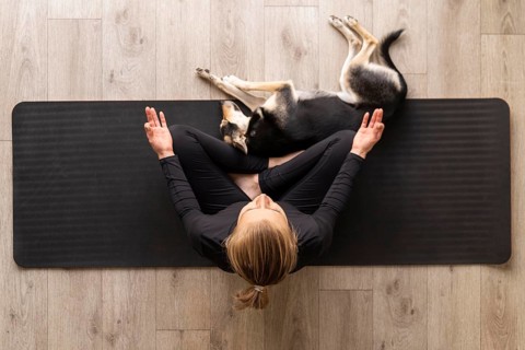 Top view woman meditating with dog