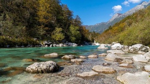A beautiful autumn color landscape in the Julian Alps of Slovenia with the clear turquoise Soca