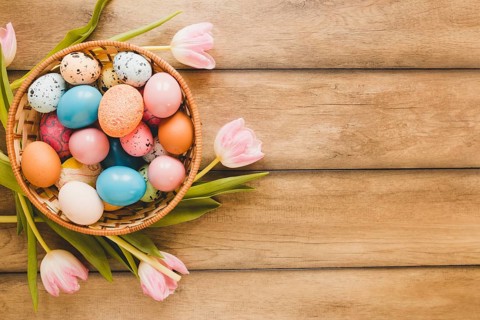 Tulips around bowl with eggs. Beautiful photo