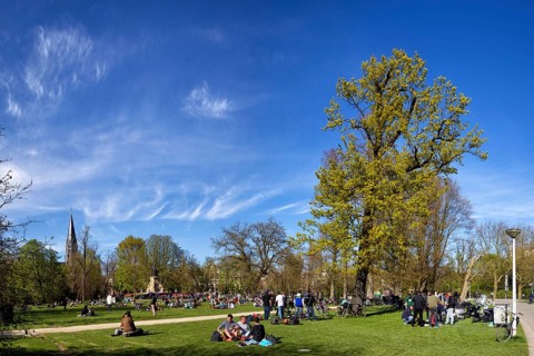 People relaxing at a picnic in Vondelpark in Amsterdam, Netherlands in spring. People relaxing at a