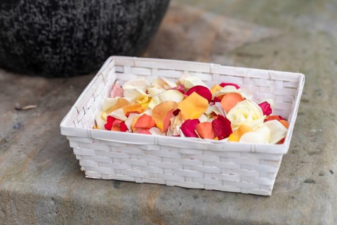 Rose petals, wedding ceremony, wedding, Germany, Europe
