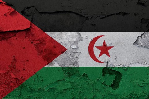 Western Sahara Flag painted on the cracked grunge concrete wall
