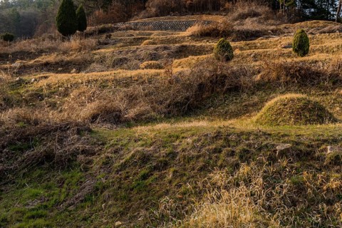 Several unmarked burial mounds on side of mountain as sunsets in early evening, South Korea, South