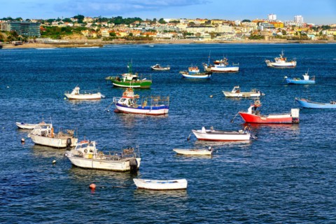 Colorful view of small fishing boats on sunny day in bay of Cascais, Portugal, quiet and luxurious
