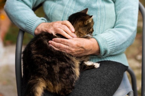Senior woman nursing home holding cat