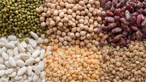 Close up view various beans arrangement