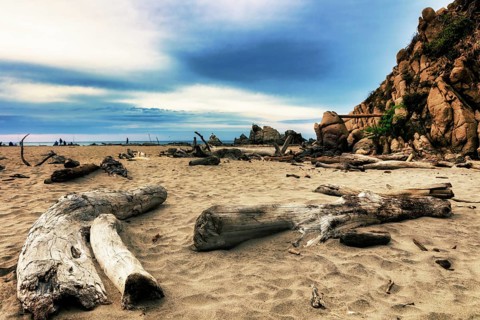 Spongy driftwood on the beach of La Bocana, Baja de Hualtulco, South Pacific Coast, State of