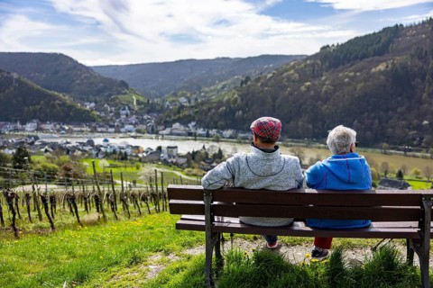 Senior couple sitting on a bench in the vineyards and looking at the Moselle and the town,