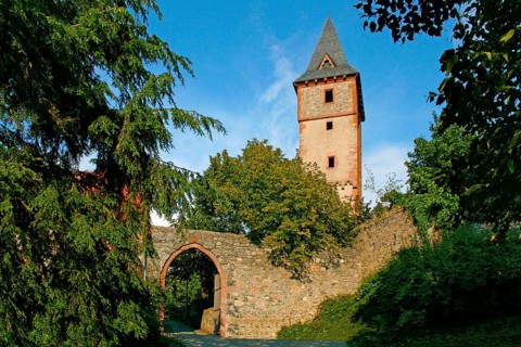 Frankenstein Castle, built in front of 1250, Odenwald, Bergstrasse, near Darmstadt, Hesse, Germany,