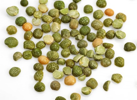 Garden pea, edible pea, pea, butterfly, Split Peas, pisum sativum, Seeds against White Bakcground