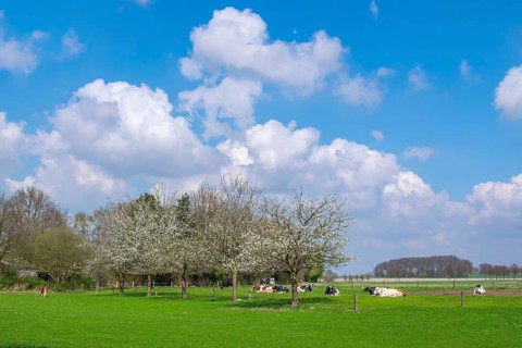 Spring in the Münsterland