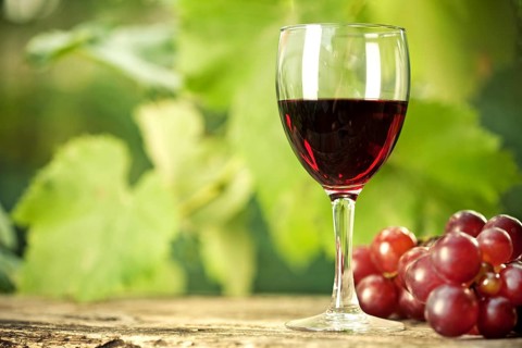 Red wine glass and bunch of grapes on wooden table against vineyard in summer