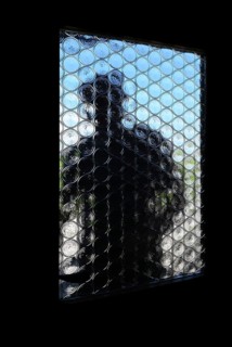 A stranger opens the front door, A dark figure tries to look through the opaque glass pane of a