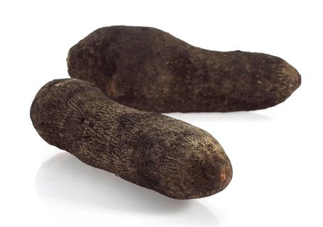 Yam (dioscorea) against White Background