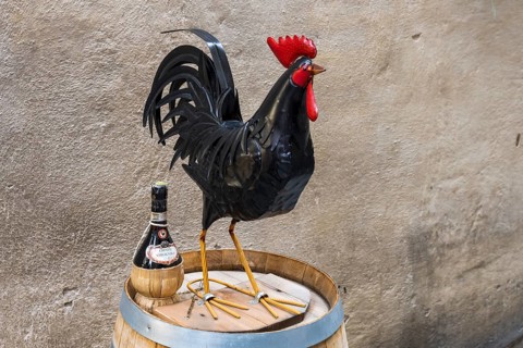 Black Rooster, Gallo nero (sign for Chianti wine), Chianti, Tuscany, Italy, Europe