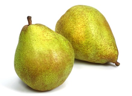 Culture pear, pear, rose family, Comice Pear (pyrus communis) against white background